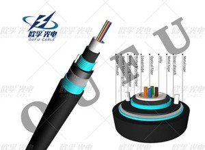 Gyxtw53 2-24 core DJDA steel tape armored outdoor duct outdoor fiber cable.